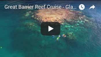 great barrier reef tours from melbourne